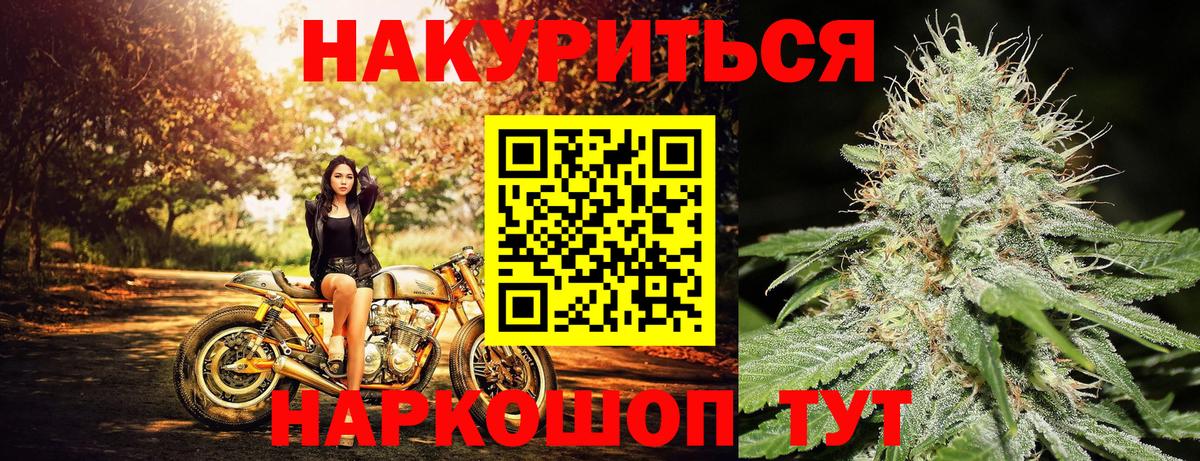 Каннабис конопля Новошахтинск